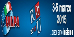 Comunicato stampa UIL sulle elezioni RSU nel Pubblico Impiego in Piemonte