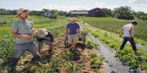 La Regione Piemonte promuove il lavoro regolare in agricoltura: firmato il protocollo d&#039;intesa