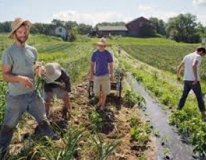 La Regione Piemonte promuove il lavoro regolare in agricoltura: firmato il protocollo d'intesa
