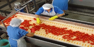 CCNL Alimentare: un rinnovo importante per 400 mila lavoratori. Salari + 105 euro